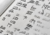 2017年47中录取分数线