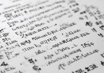 临夏职业学院老师名单有哪些，电话号码是多少？