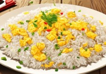 蛋炒饭观后感