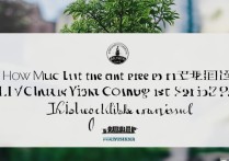 丽水职业学院学费一年多少钱，收费标准贵不贵？