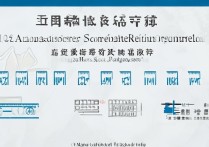 河南大学广东录取分数线是多少？2026招生计划及排位要求