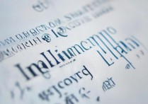 定陶二中分数线是多少？定陶二中录取分数线2026最新公布