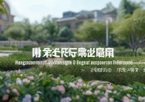 杭州园林专科学校排名有哪些？浙江大专排名前十名学校