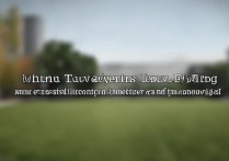 安徽大学编导录取原则是什么，按综合分录取吗？