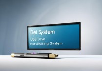 dell 系统u盘启动不了系统