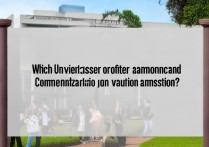 哪所大学按照综合录取，综合评价录取有哪些大学？