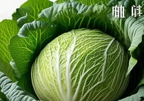 大白菜重装系统