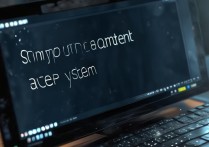 电脑进不了系统