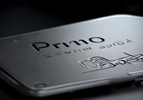 primo固态