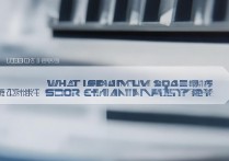 青海大学最低录取分数线是多少？青海大学最低录取位次排名查询