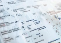 有哪些单招录取率高、入学门槛低的高等院校推荐？