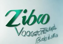 淄博职业学院司背后故事揭秘，真相与谜团交织的30字疑问标题？