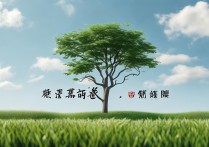 不上不下成语