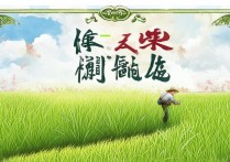 芒种手抄报