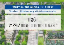 上海大学美院录取分是多少？上海大学美院录取分数线2026最新汇总