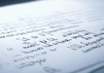 300字作文
