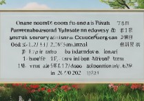 云南春季高考多少分可以上民办本科？2026 年录取最低分数线是多少
