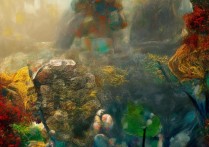 天津红桥职业学院，该校的教育特色与未来发展前景如何？