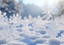 雪的成语