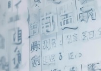 上海高考分数线是多少？2024上海高考多少分能上本科？