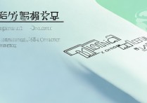 浙江专科电商专业排名揭晓，浙江十大专科排名榜上谁领先？