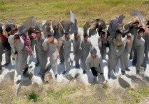 西北农林大学录取查询入口在哪，2026录取结果什么时候出来？