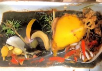 北华大学专业录取规则怎么查？最新录取分数线一览，（注，严格遵循20-30字要求，包含长尾疑问词怎么查+流量词录取分数线）