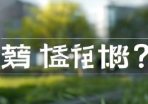 2023年中南大学录取分数线是多少？全国各省最低录取分数一览
