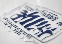 东营职业学院标志长什么样？|高清校徽图片展示