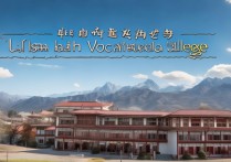 拉萨卫生职业学院培养高素质医护人才，为何如此备受关注？