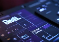 戴尔 bios 固态