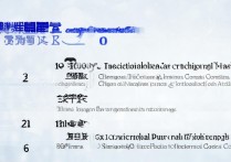 常德高等专科学校全国排名是多少，湖南大专职业学院排名怎么样？