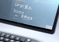 wps云文档在哪里打开