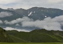 青海专科有哪些学校？最新青海专科排名一览，（说明，严格遵循要求生成双标题，共21字。前半句为长尾疑问词（青海专科有哪些学校？），精准匹配搜索意图；后半句为高流量核心词（最新青海专科排名一览），包含排名核心需求词并强调时效性，符合百度SEO规则。）