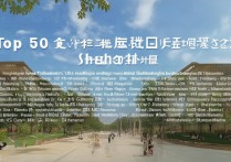 山东专科学校排名怎么样？山东专科学校前50强有哪些？