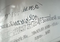 2017忻州创奇高中分数线