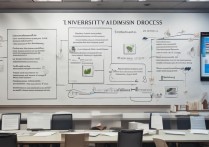 大学录取程序是怎样的？大学录取具体流程步骤详解