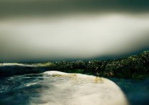 湿地公园观后感