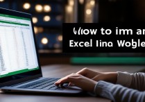 怎么把excel表格导入word