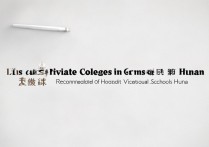 湖南民办专科学校名单有哪些？附湖南优质职校排名推荐