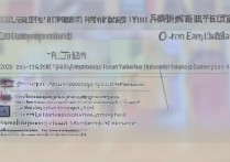 延边大学广东录取排位是多少？2026 年延边大学广东录取最低排位