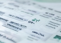 南阳理工艺术类录取分数线是多少？2026 年南阳理工学院艺术类各专业录取分数