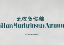 吉林师范大学河南录取，录取标准与流程究竟有何不同？