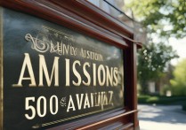 大学录取多少名额