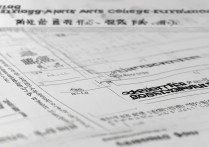 2016年浙江美术高考录取分数线是多少，本科线多少分？