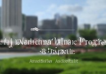 海南大学中外合资录取，为何备受关注？背后的机遇与挑战有哪些？