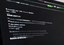 win8.1显卡驱动 黑屏