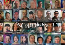 职业学院毕业明星有哪些？哪些职业学院毕业的明星最出名？