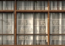 淄博职业学院窗口，这里的职业教育服务如何，有哪些特色项目？