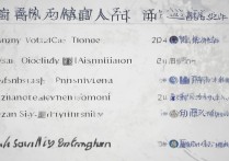 郑州工商管理专科学校排名之谜揭晓，河南自考院校排名如何？